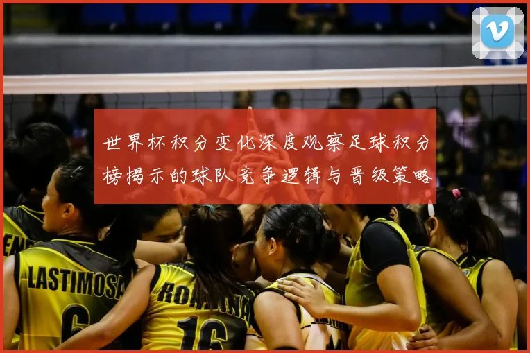 世界杯积分变化深度观察足球积分榜揭示的球队竞争逻辑与晋级策略